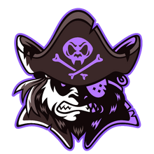Pirate Nation Logo notext