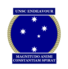 The logo of the Endeavour, worn by the ship's personnel.