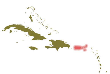 greater antilles blank map