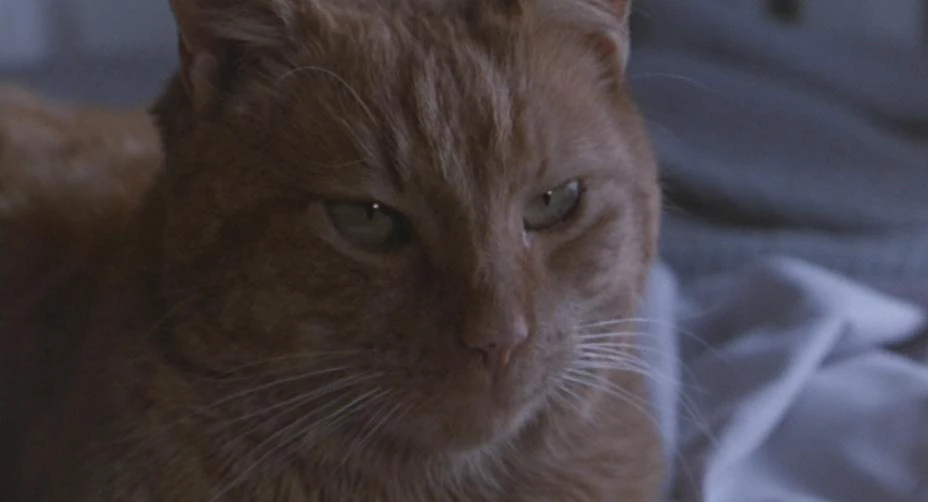 Jonesy Halo Fanon Fandom