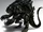 Xenomorph