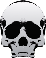 HWTGW Skull