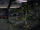 Halo: Lone Wolf/Synchronous