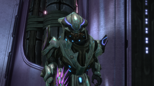 Verdent-Khito-Nucam-Profile.png