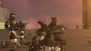 Tex camouflage