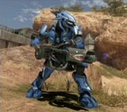 A rare Sangheili holdout.