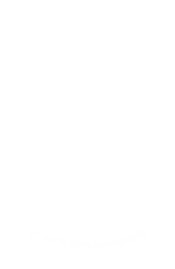 UNSC Phoenix white text