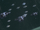 Durisdeer fleet.png