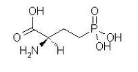 L-AP4 Structure