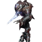 Sangheili 293