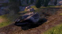 "Шмель" Мастера-старшины на поверхности кольца.