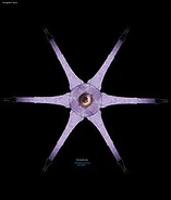 Большой Ковчег (неканоническое изображение)