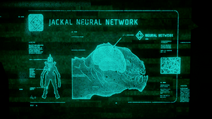 H5G-Jackal Neural Network