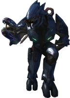Портрет Н'тхо 'Сраома в полный рост в Halo 3.