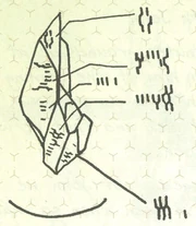 Sigma Octanus Artifact