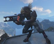 HINF Barroth