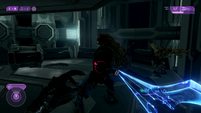Тел 'Вадами сражается с несколькими боевыми формами сангхейли в Halo 2 Anniversary.