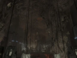 Потолок стал жилищем трутней.