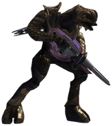Арбитр, экипированный лучевой винтовкой и карабином Ковенанта в Halo 3.