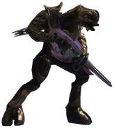 Halo3-ArbiterCarbine.png (831 КБ) Арбитр, экипированный лучевой винтовкой и карабином Ковенанта в Halo 3.