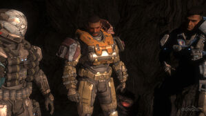 Noble Trio