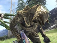 Images (6).jpg (330 КБ) Главнокомандующий силами Сепаратистов, Тел 'Вадам