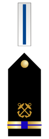 500px-US Navy CW5 insignia.svg