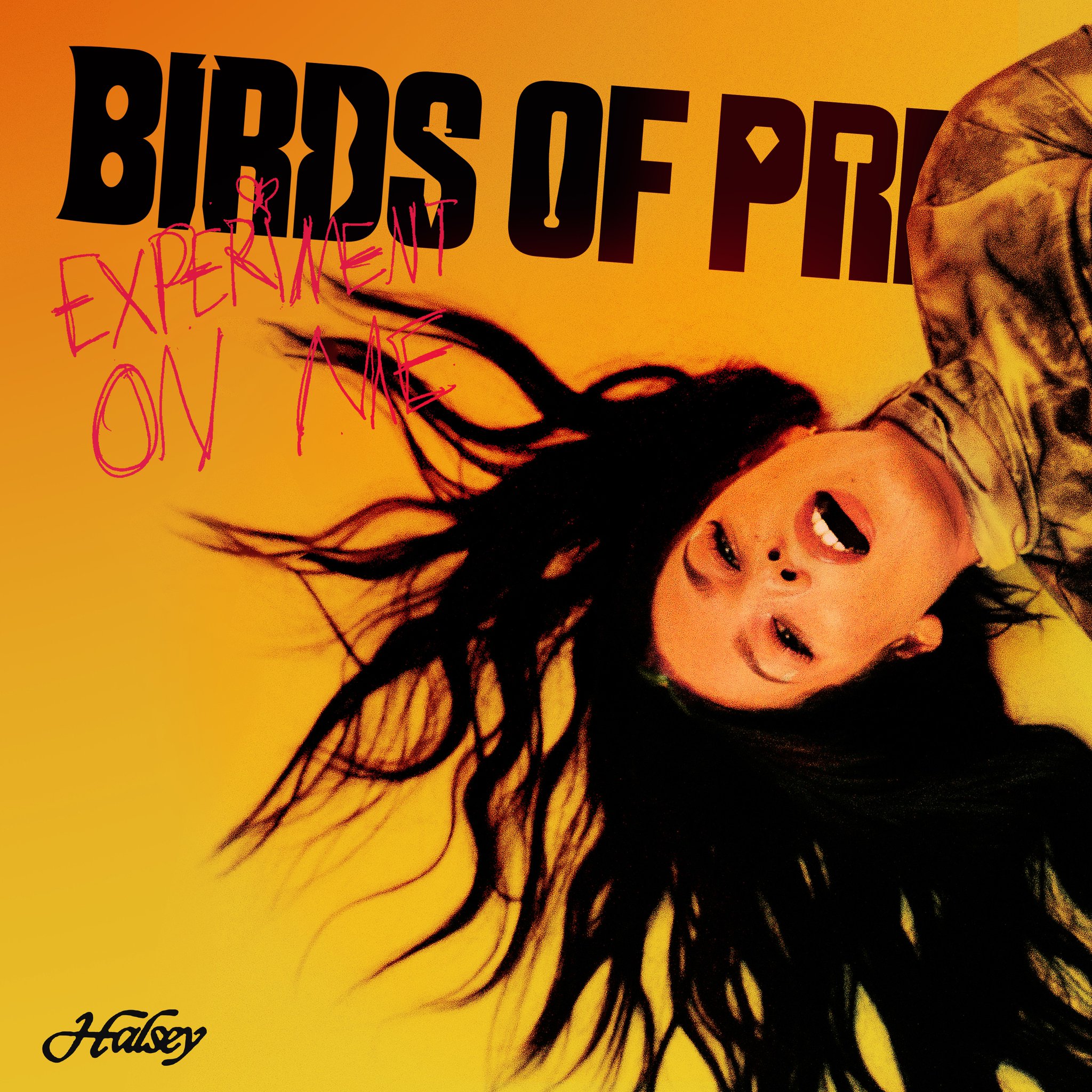 Is Halsey Teasing a Song on the Birds of Prey Soundtrack?