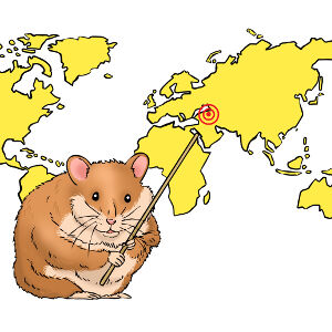 Where Do Hamsters Live in the Wild? - WorldAtlas