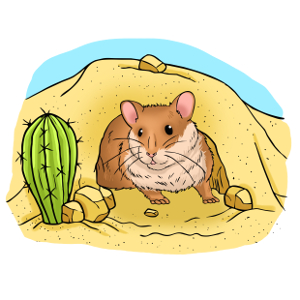 Wild Syrian Hamster, Overview, Characteristics & Habitat