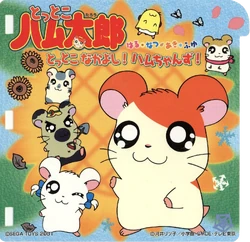 THHNAFTNHC covercrop