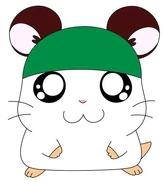 Cappy