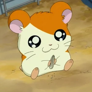 maxwell s big scoop gallery the hamtaro wiki fandom