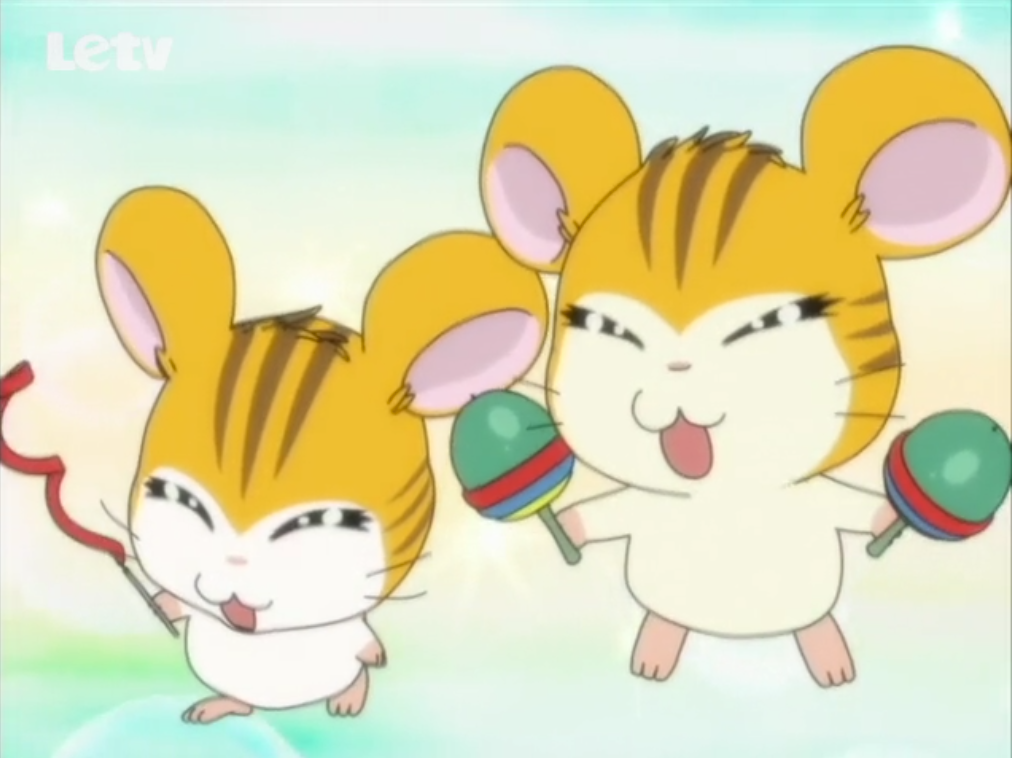 hamtaro sandy and stan