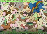 Rainbow Land Citizens