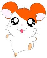 Hamtaro