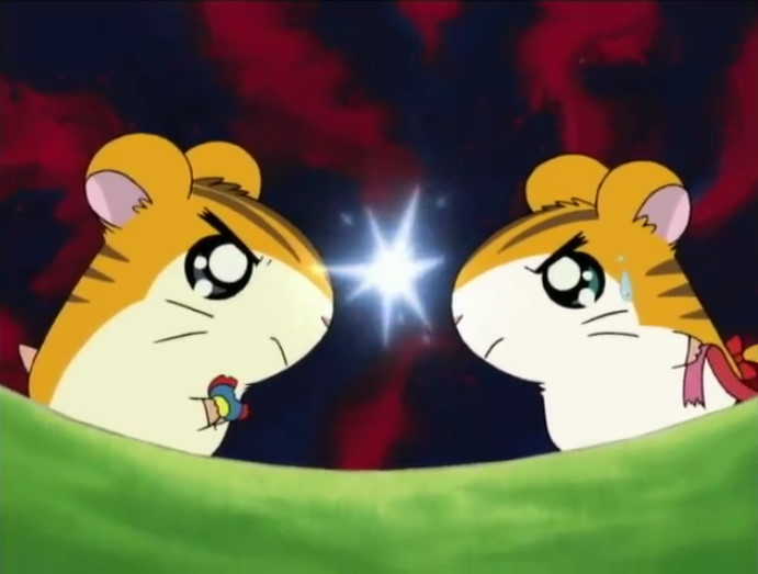 hamtaro sandy and stan