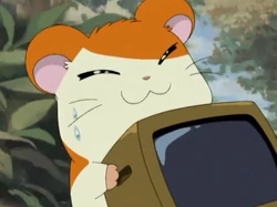 The Snoozer Mystery!/Gallery | The Hamtaro Wiki | Fandom