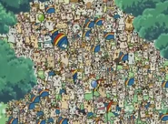 A large number of Rainbow Land Residents, gathered to congratulate Bo.