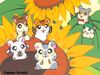 Hamtaro-paradijs-03