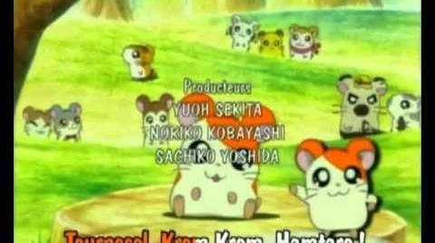 Hamtaro Génériques début et fin français