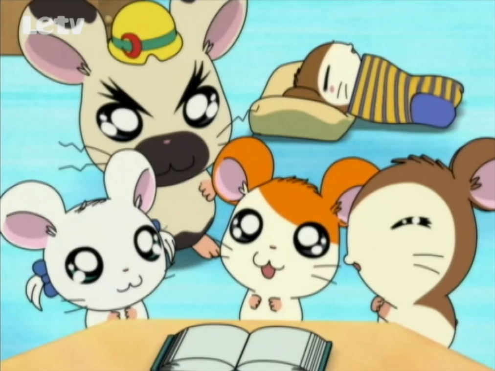 Snoozers Dream Trip The Hamtaro Wiki Fandom 