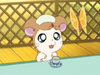 A-bunch-of-cuties-hamtaro-37220993-468-352