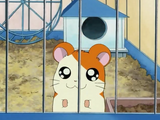 The Legend of the Courageous Hamtaro!/Gallery