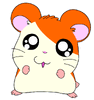 Hamtaro as he appeared early in the Anime