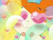 Hamtaro falls in Love