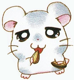 Oxnard/Gallery | The Hamtaro Wiki | Fandom