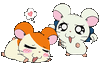 Bijouhamtaro dort