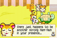 Hamtaro - Rainbow Rescue 31