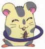 Hamtaro Panini sticker book